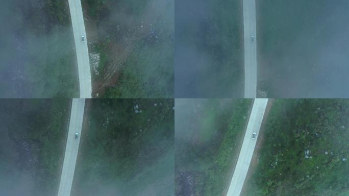 汽车行驶在森林大雾天气