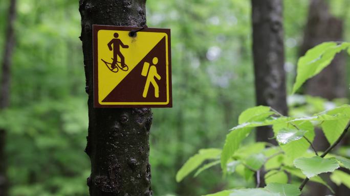 森林中的雪鞋和徒步旅行路线标志
