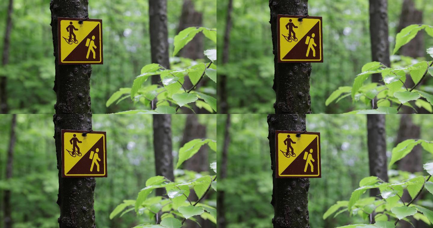 森林中的雪鞋和徒步旅行路线标志