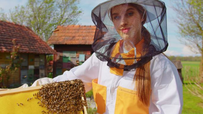 养蜂人检查蜂巢框架