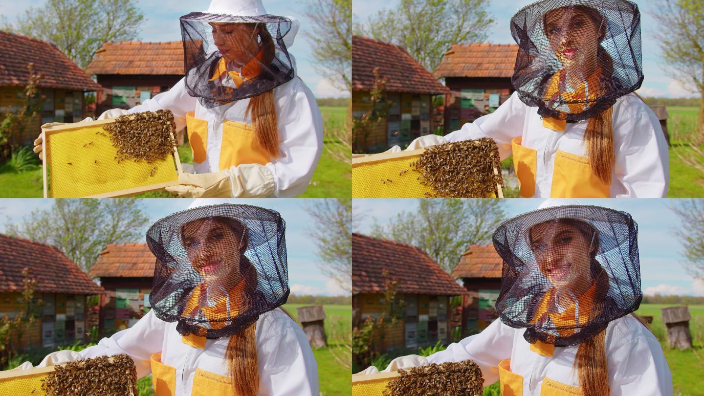 养蜂人检查蜂巢框架