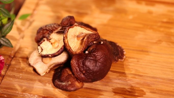 【镜头合集】蘑菇肉质增鲜食材  (2)