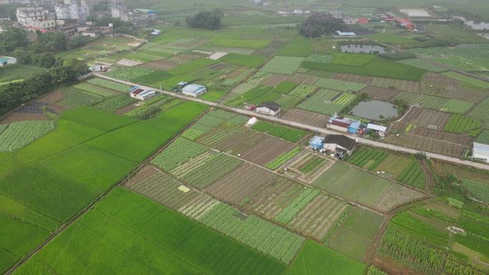 云雾下的田野