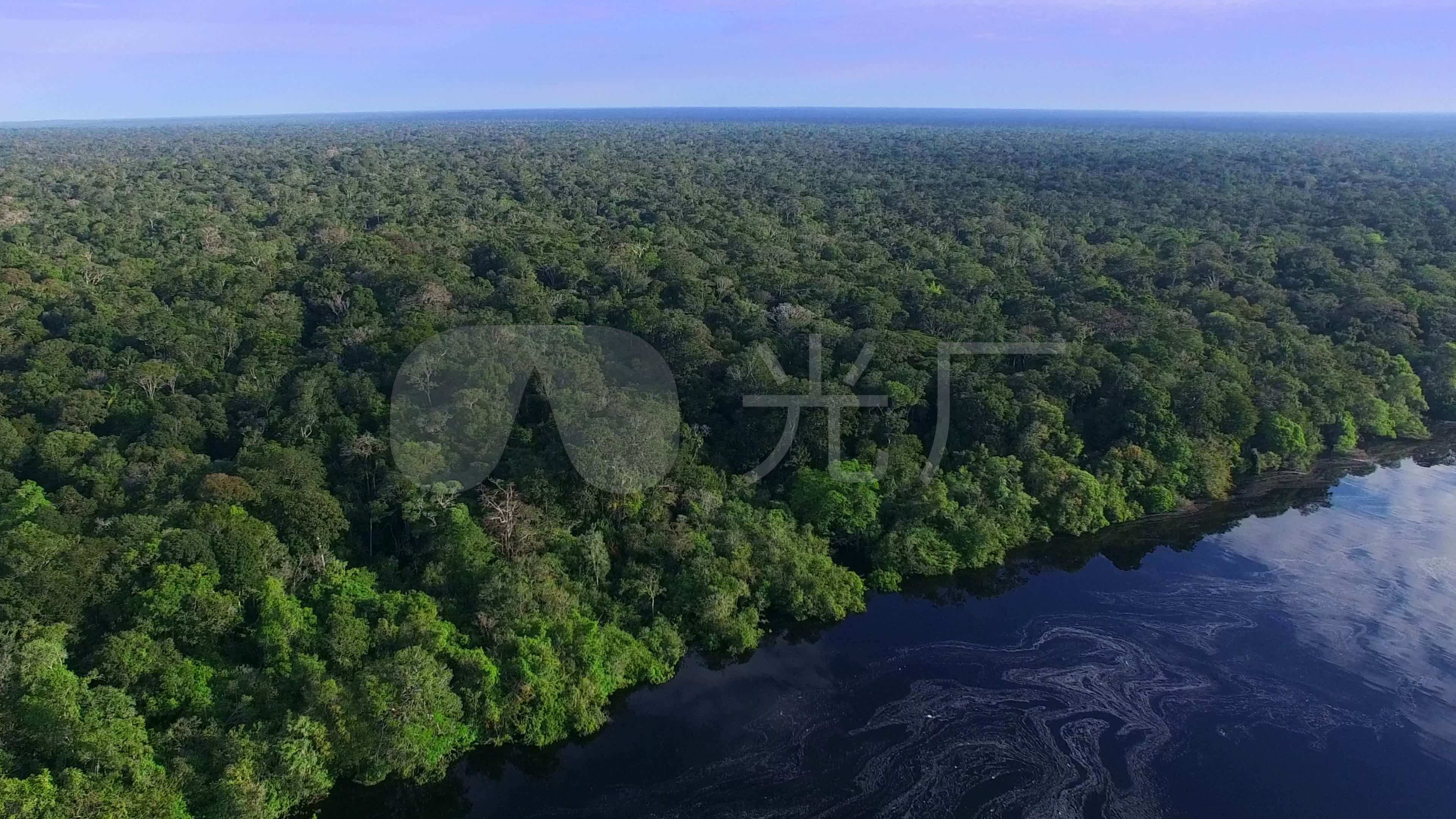 Amazon Rainforest Wallpaper (69+ images)