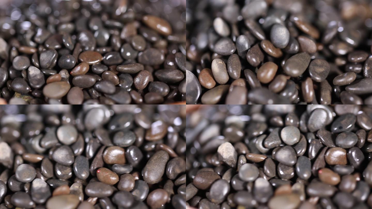 【镜头合集】黑色石子石头籽  (2)
