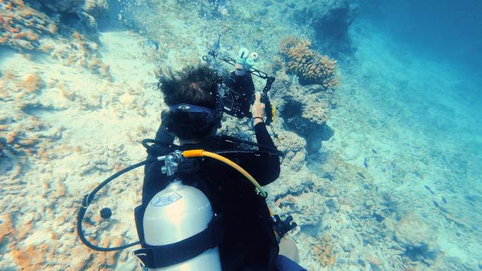 水下潜水员拍摄海洋生物