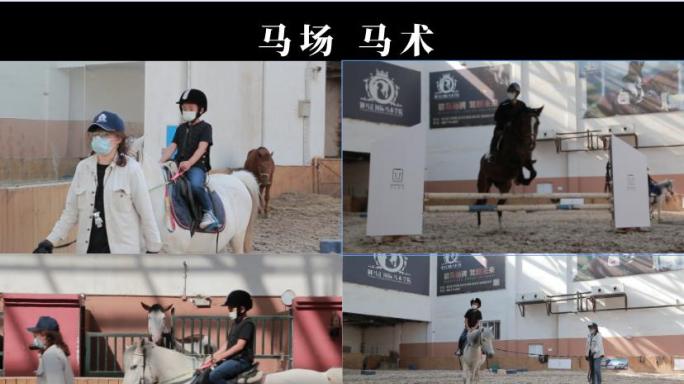 马场 马术