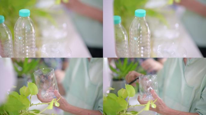 妇女用回收塑料瓶种植盆栽植物
