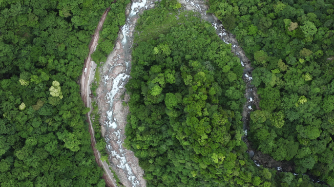 自然生态天然林业保护山川河流原始森林植被