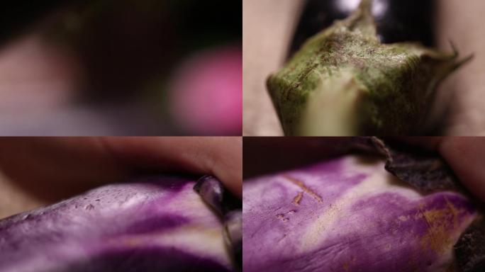 【镜头合集】富含花青素的植物表皮