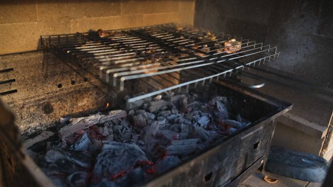 燃烧木炭烤架烤羊肉烤肉炭火