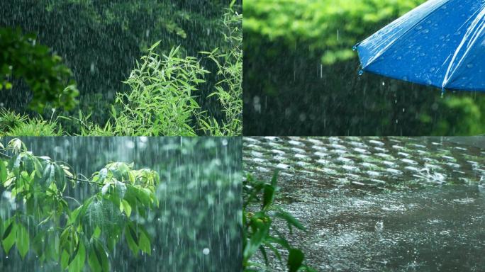 暴雨下的树叶随风飘摇，下雨天唯美雨景素材