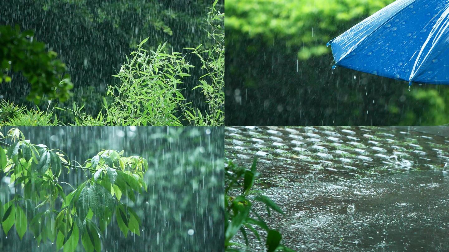 暴雨下的树叶随风飘摇，下雨天唯美雨景素材