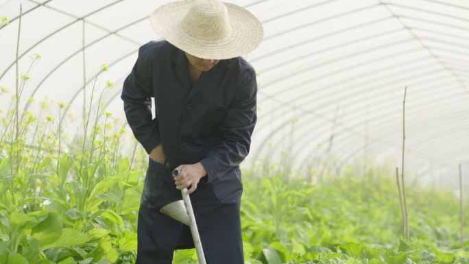 蔬菜大棚施肥喷药