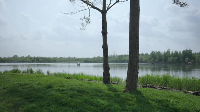 4k湖边草地湿地公园