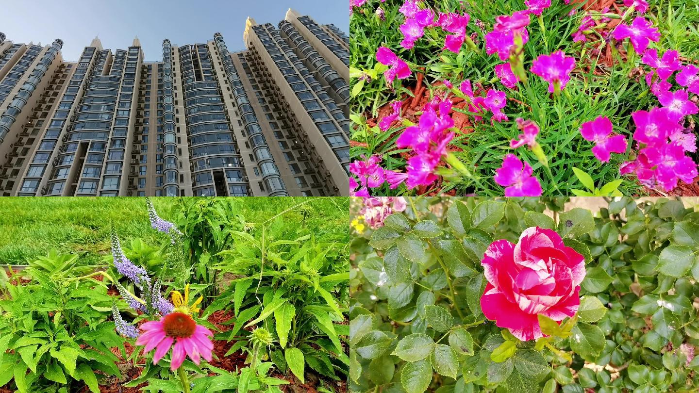 北京生活小区 高层住宅 花草树木