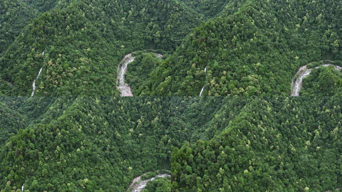 自然生态天然林业保护山川河流原始森林植被