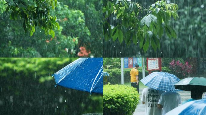 下雨天的树叶，雨中打伞的行人视频素材