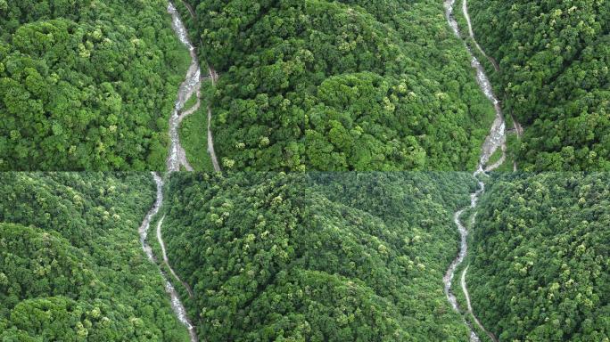 自然生态原始森林山川河流天然林植被覆盖