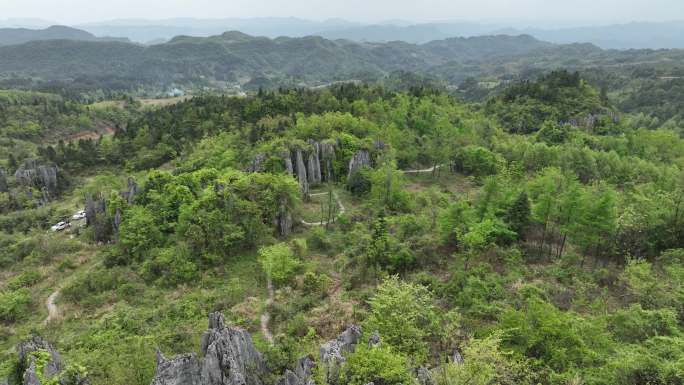 湖南湘西龙山洛塔石林航拍