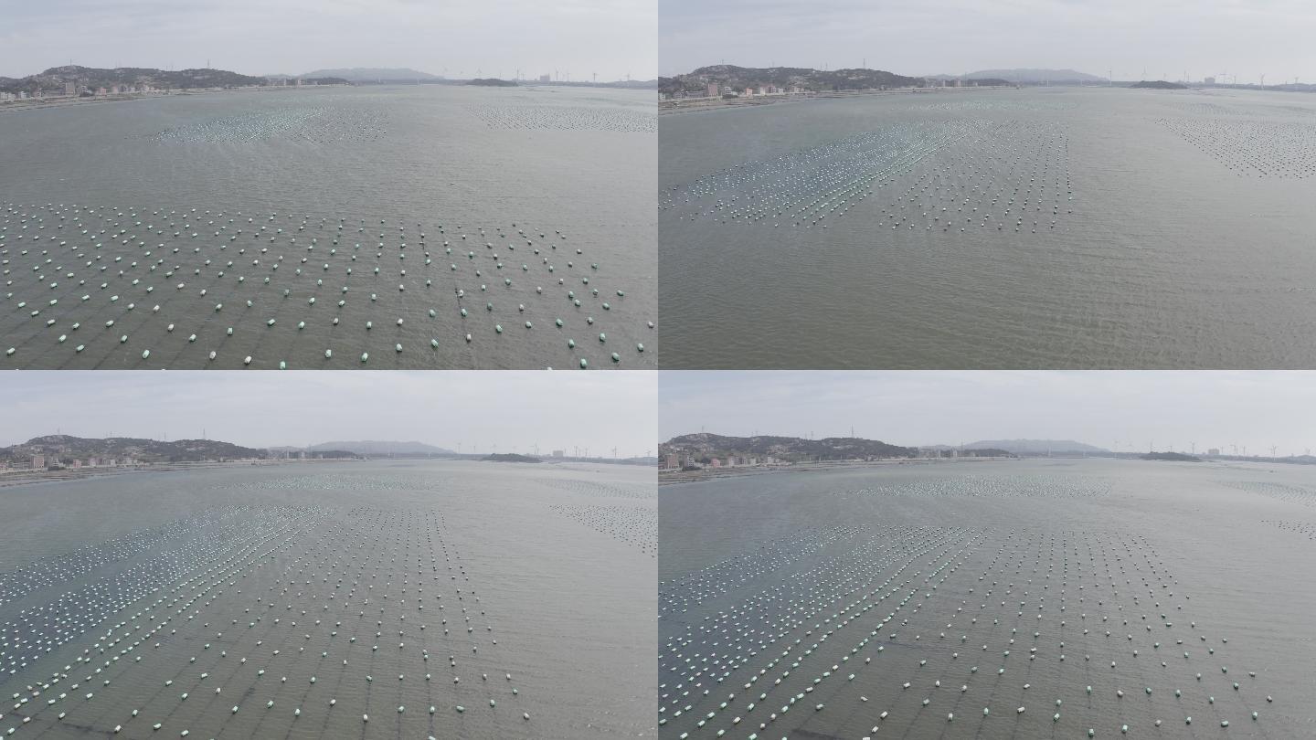 海蛎浮标 海产海蛎养殖4k航拍灰度