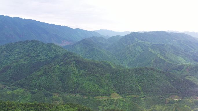 航拍雨后的山林