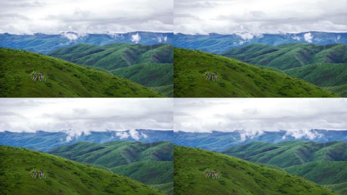 藏族地区雨后的高原群山雾气蒸腾