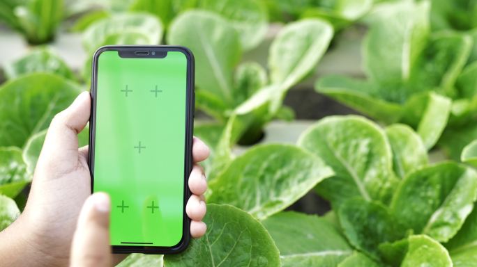 农场主在花圃内使用手持绿色屏幕的智能手机
