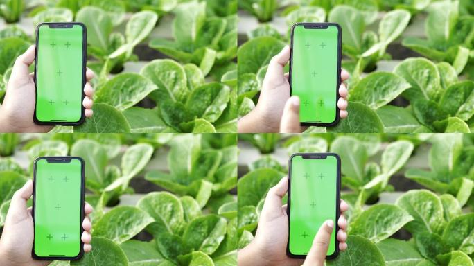 农场主在花圃内使用手持绿色屏幕的智能手机