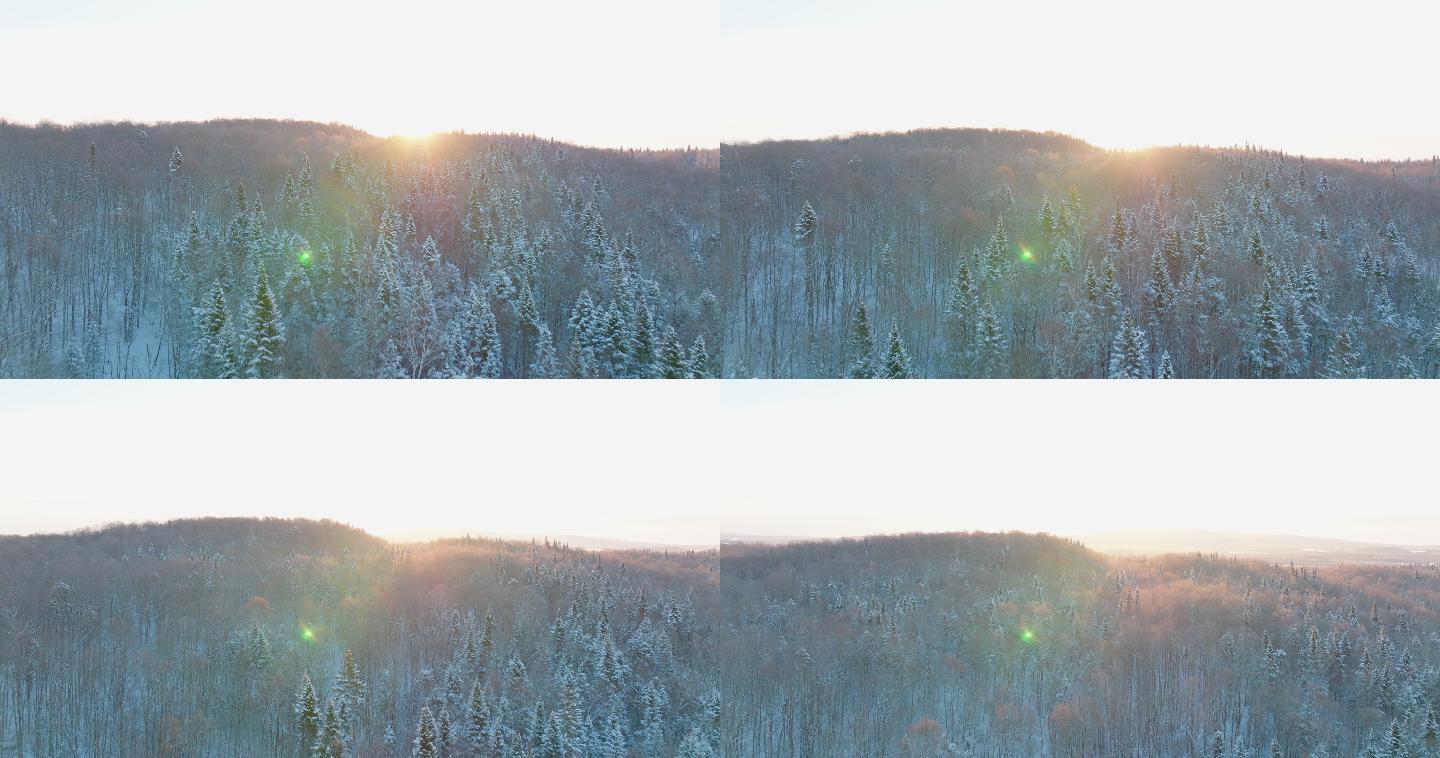 加拿大魁北克省暴风雪后冬季北方天然森林的4K空中视频视图