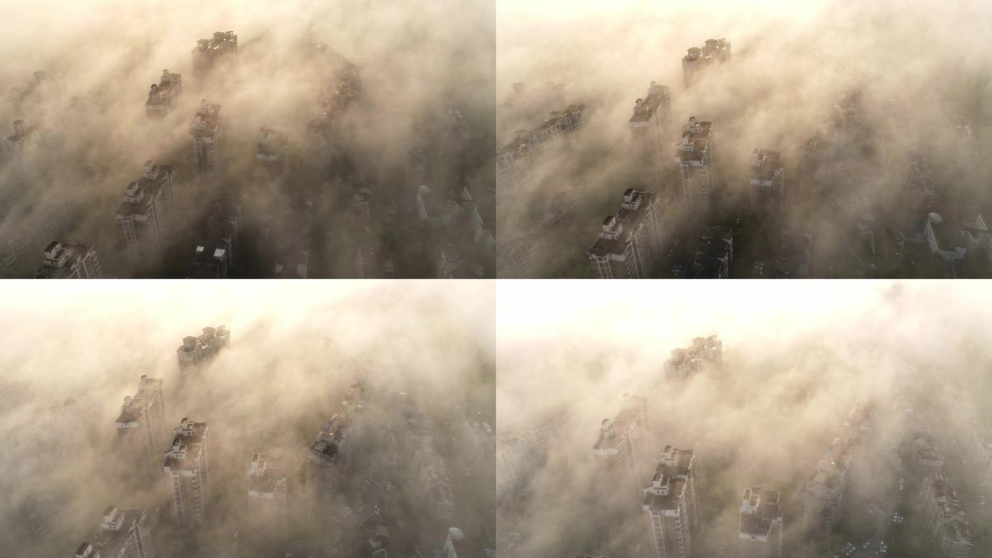 上海 城市 平流雾 晨雾