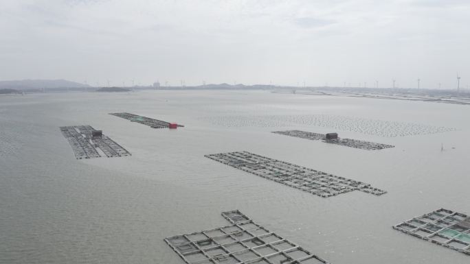 海产海蛎养殖  基地 4k 航拍 灰度