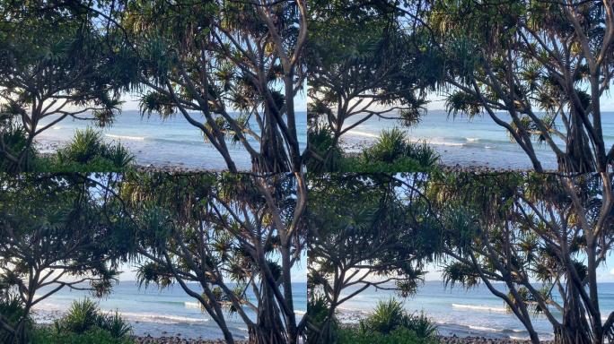透过树木欣赏热带岛屿海滩风光