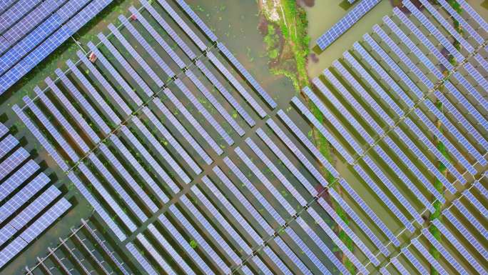 鸟瞰现代水产养殖 太阳能光伏发电