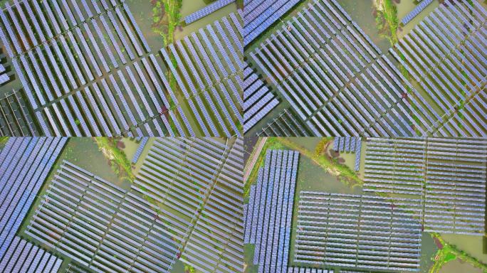 鸟瞰现代水产养殖 太阳能光伏发电
