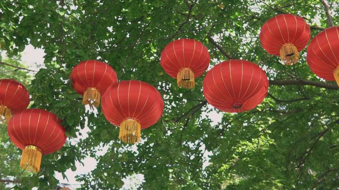 中国新年公园里挂在树上的传统红灯笼