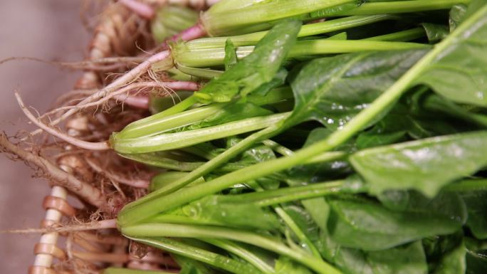 【镜头合集】膳食纤维绿色蔬菜菠菜