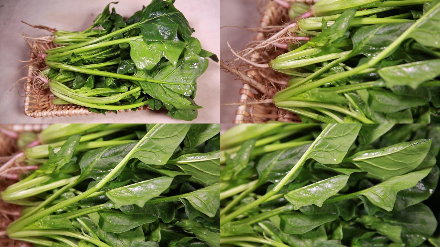 【镜头合集】膳食纤维绿色蔬菜菠菜
