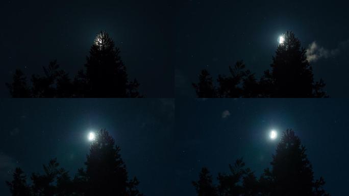 夜晚的月亮月黑风高