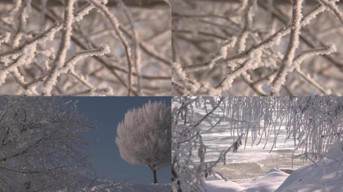 雪压树枝雾凇雪景霜降结霜冰花C021