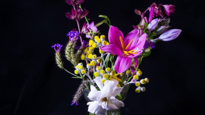 花瓶里各种鲜花盛开延时