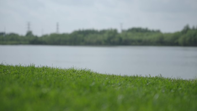 4k湖边草地