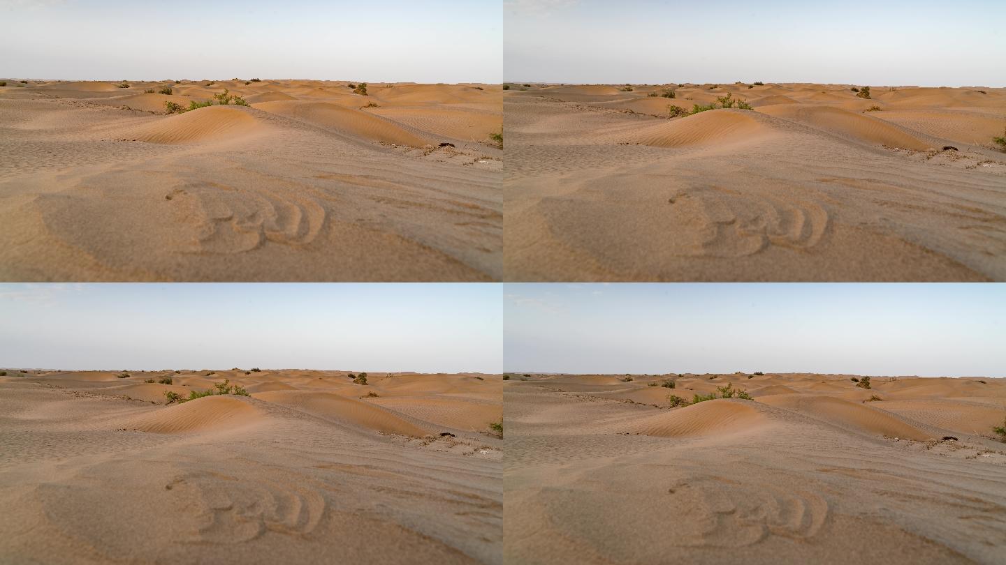 沙漠公路 新疆塔克拉玛干沙漠 延时 风景