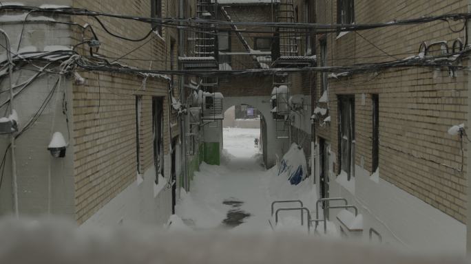 暴风雪巷纽约冬季后院郊区阿斯托里亚