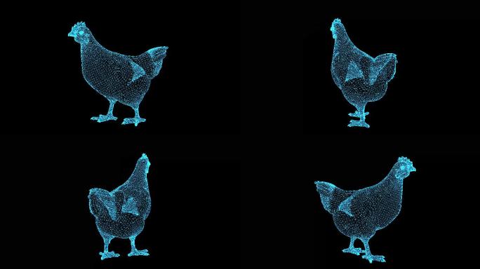 4K全息蓝色线框科技鸡动画循环带通道