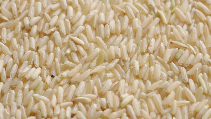 谷物白米背景，特写