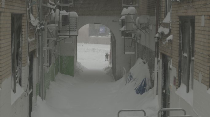 暴风雪纽约冬季后院巷郊区阿斯托里亚