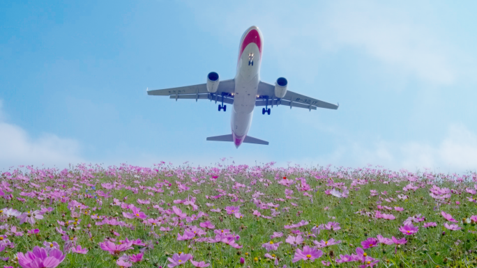 飞机起飞飞过天空