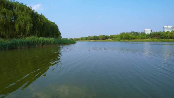 聊城徒骇河原生态水域风景航拍
