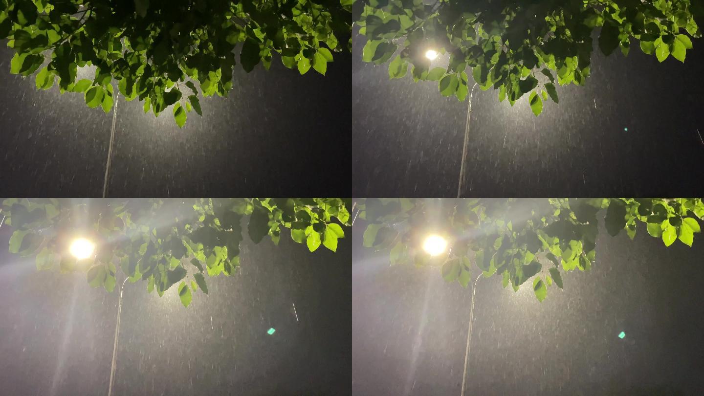 雨夜大雨暴雨路灯树木绿叶灯光雨水